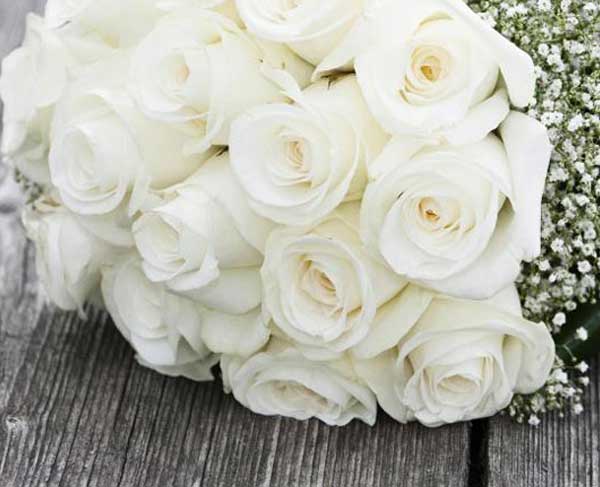 وب سایت عروسی دات کام | 