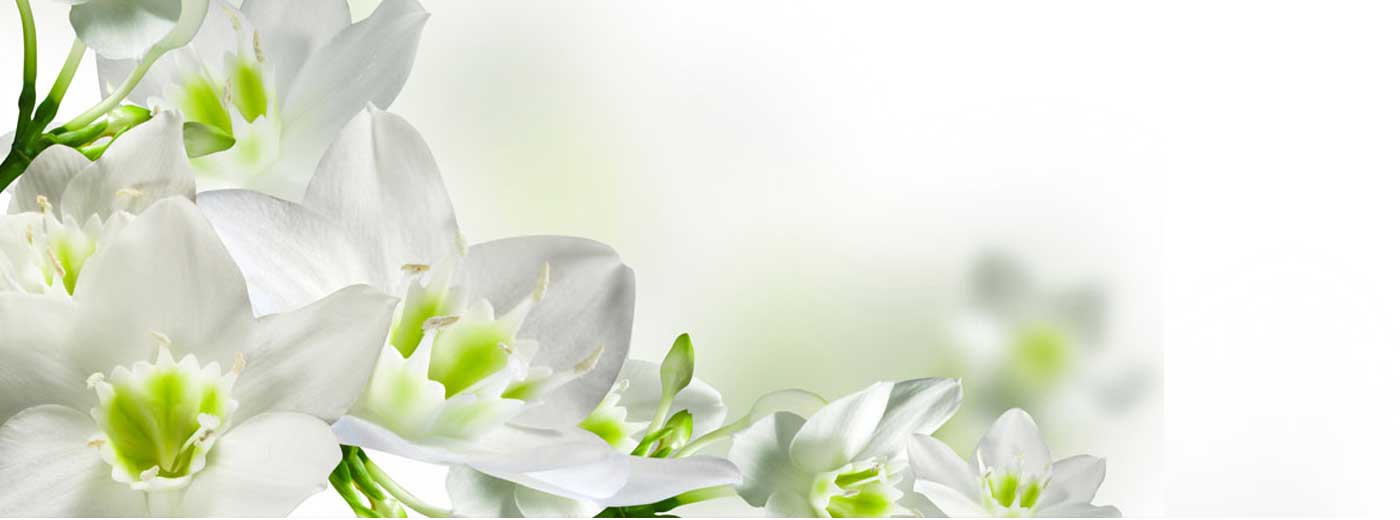 وب سایت عروسی دات کام | 