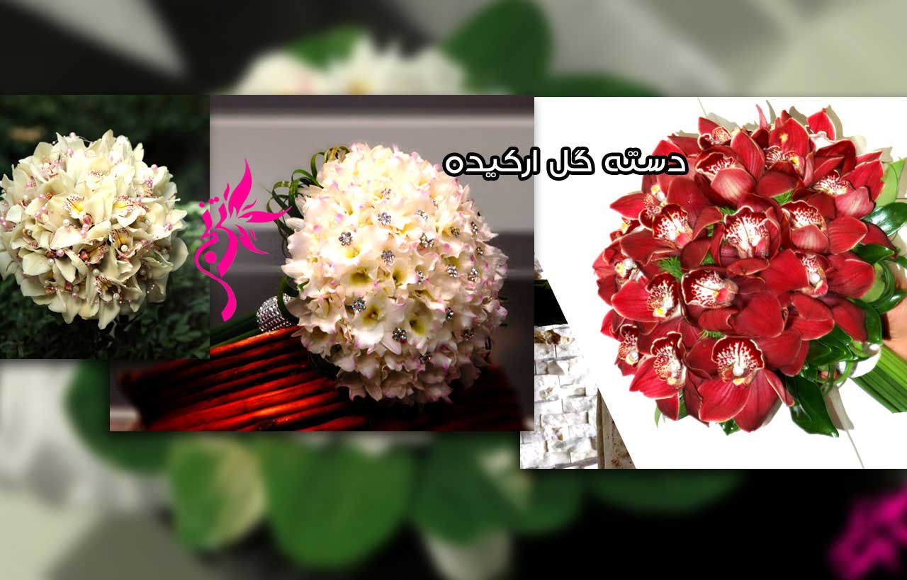 وب سایت عروسی دات کام | 