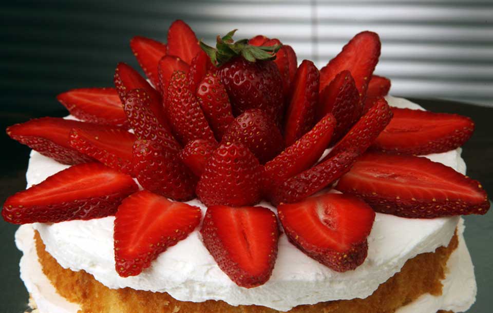 وب سایت عروسی دات کام | 